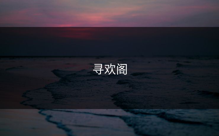 寻欢阁