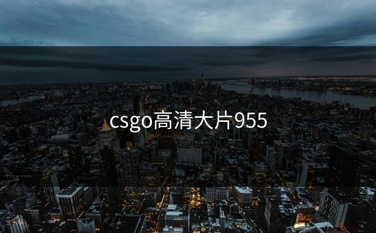 csgo高清大片955